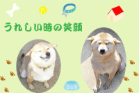 Ί̎Č